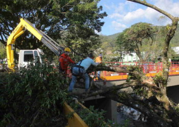Não haverá ventos fortes nesta semana, segundo Defesa Civil de Jaraguá do Sul