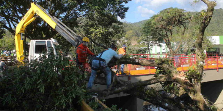 Não haverá ventos fortes nesta semana, segundo Defesa Civil de Jaraguá do Sul