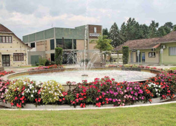 Vacinas contra a gripe disponíveis para a população em Schroeder