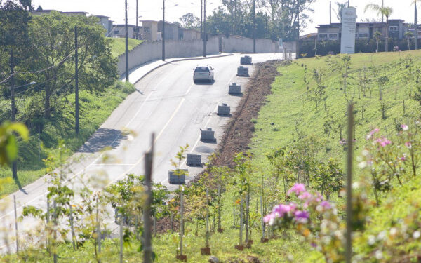 Arena recebe nova pavimentação e calçadas