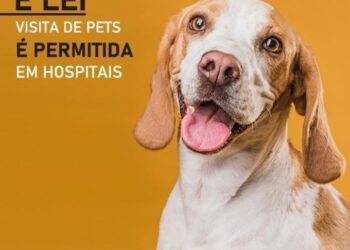 Lei que permite visita de animais domésticos em hospitais é aprovada na Alesc