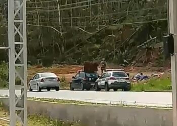 [VÍDEO] Polícia Militar realiza disparos para conter fuga de homem durante ocorrência em Massaranduba