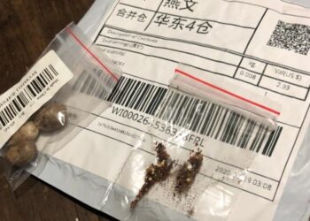 Morador de Jaraguá do Sul recebe pacote misterioso da China