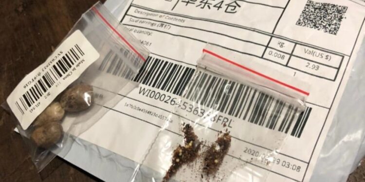 Morador de Jaraguá do Sul recebe pacote misterioso da China