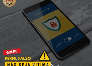 Polícia Civil alerta para golpes praticados com perfis falsos na internet
