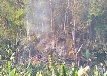 Incêndio é registrado em mata em Schroeder