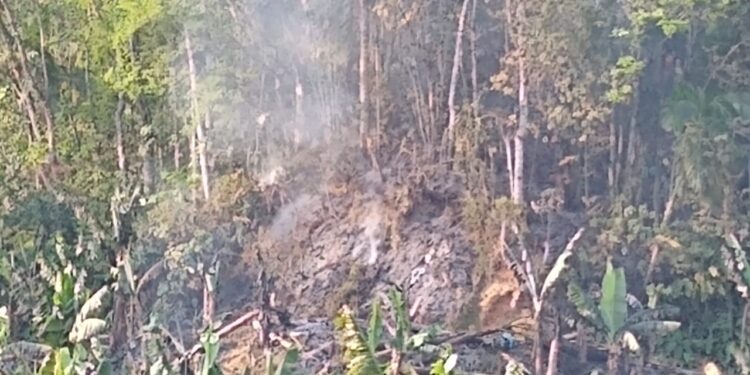 Incêndio é registrado em mata em Schroeder