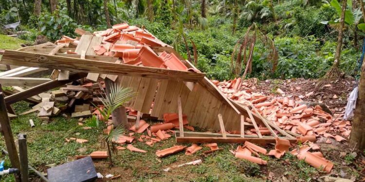 Idoso fica ferido após rancho desabar em Schroeder