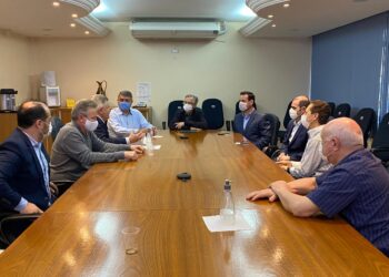 Presidente da Aurora Alimentos, Mário Lanznaster, morre em Chapecó