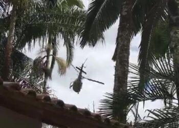 [Vídeo] Polícia Militar realiza operação após homens atacarem policial em Guaramirim