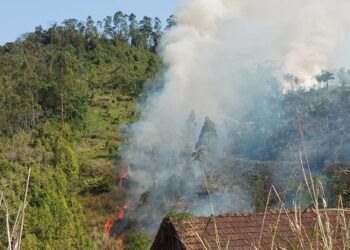 Bombeiros Voluntários de Guaramirim combatem incêndio na Estrada Bananal
