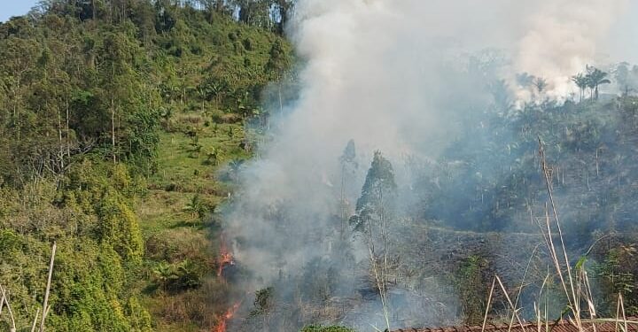 Bombeiros Voluntários de Guaramirim combatem incêndio na Estrada Bananal