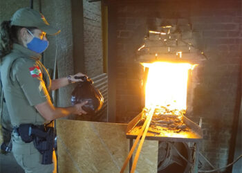 Mais de duas mil embalagens com drogas são incineradas em Jaraguá do Sul