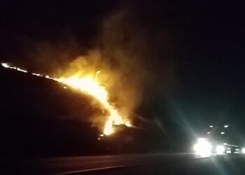 Incêndio atinge vegetação próxima da BR-280, em Guaramirim