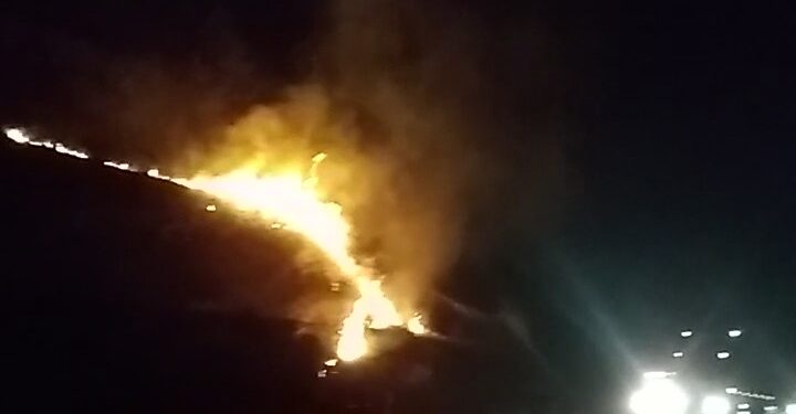 Incêndio atinge vegetação próxima da BR-280, em Guaramirim