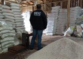 Polícia Civil realiza operação em Corupá, Jaraguá do Sul e Guaramirim contra roubos de cargas