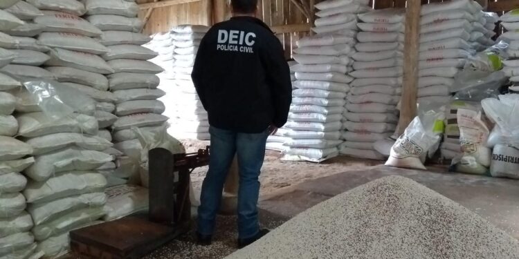 Polícia Civil realiza operação em Corupá, Jaraguá do Sul e Guaramirim contra roubos de cargas