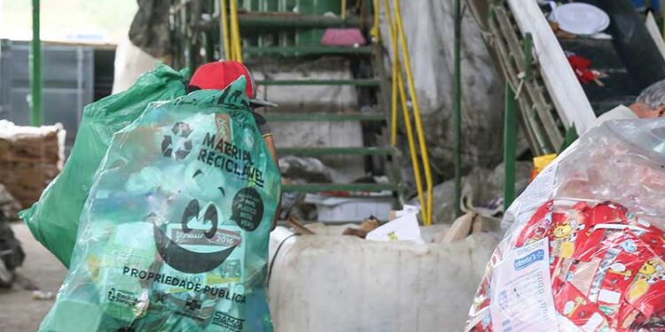 Distribuição dos sacos verdes continua em Jaraguá do Sul