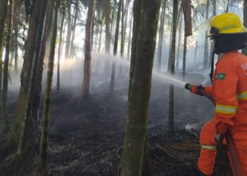 Bombeiros Voluntários de Guaramirim combatem incêndio no bairro Bananal do Sul
