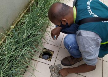 Dengue bate recordes em Jaraguá do Sul