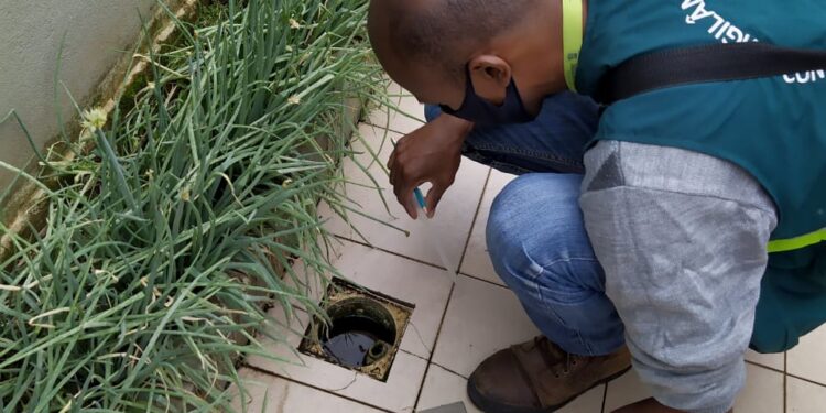 Dengue bate recordes em Jaraguá do Sul