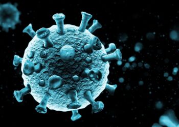 Portarias do Estado liberam uso de provadores e cursos livres para menores de 14 anos