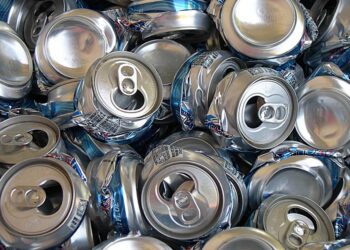 Homem é preso após invadir terreno de vizinha para pegar latinhas e agredi-la em Guaramirim