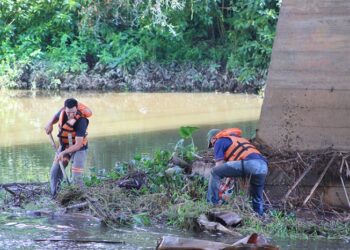 Defesa Civil de Jaraguá do Sul inicia limpeza de pilares das pontes