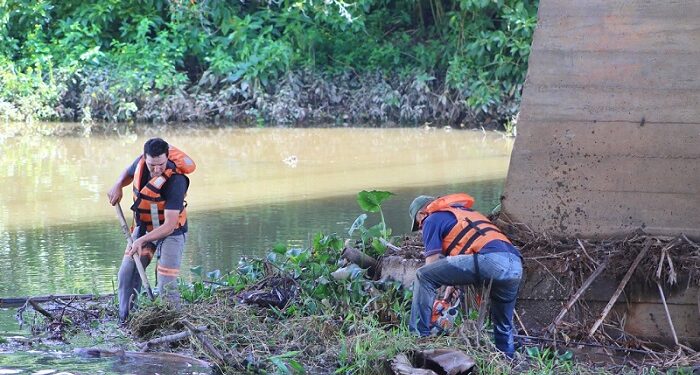 Defesa Civil de Jaraguá do Sul inicia limpeza de pilares das pontes