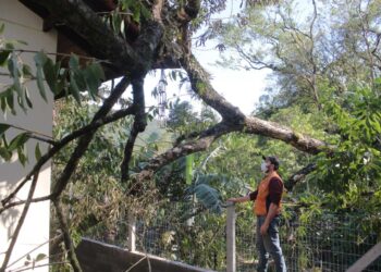 Três ocorrências são registradas por conta das chuvas fortes no fim de semana em Jaraguá do Sul
