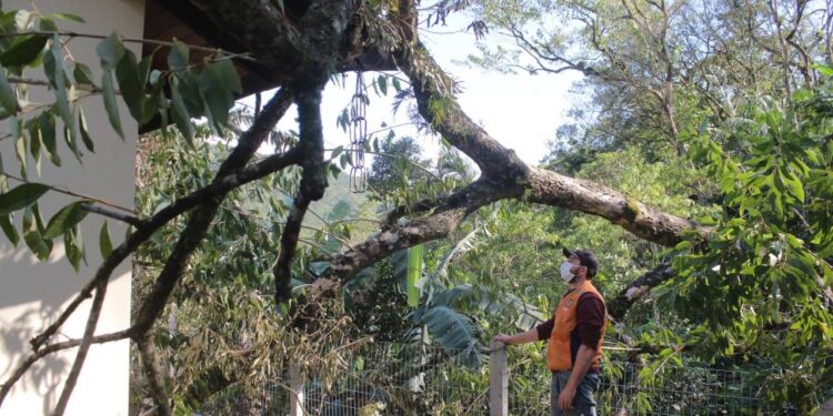 Três ocorrências são registradas por conta das chuvas fortes no fim de semana em Jaraguá do Sul