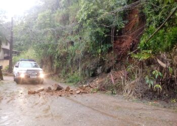Defesa Civil registra deslizamento, queda de muro e de árvore em Corupá