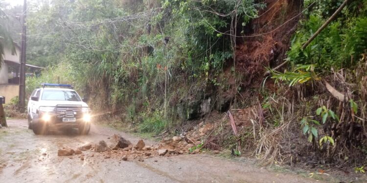Defesa Civil registra deslizamento, queda de muro e de árvore em Corupá