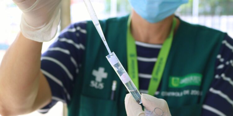 Zoonoses encontra 4.305 depósitos de água parada em Jaraguá do Sul