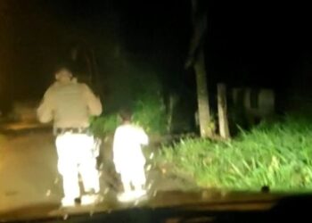 Mulher é presa por mandar o filho de 6 anos buscar leite de madrugada em Guaramirim