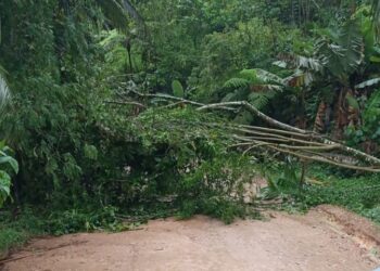 Defesa Civil monitora alerta para deslizamentos em Jaraguá do Sul