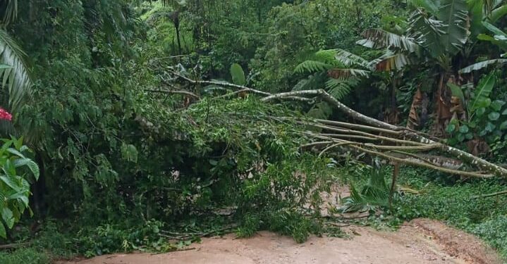 Defesa Civil monitora alerta para deslizamentos em Jaraguá do Sul