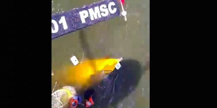 Dois irmãos são resgatados após barco afundar em Joinville