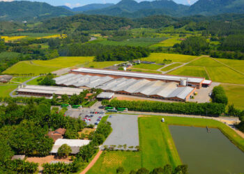 Tradicional empresa catarinense começa 2021 com mudança no nome