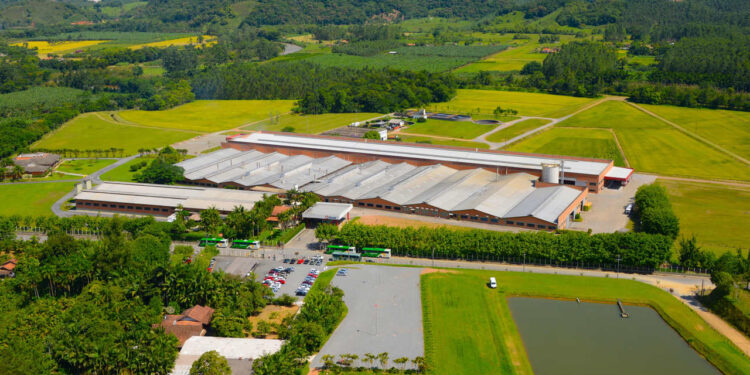 Tradicional empresa catarinense começa 2021 com mudança no nome