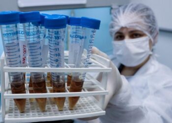 Pesquisa avalia mutações do novo coronavírus em Santa Catarina