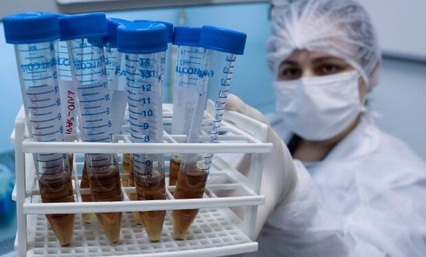 Pesquisa avalia mutações do novo coronavírus em Santa Catarina