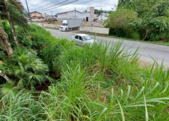 Prefeitura de Jaraguá do Sul prepara instalação de galeria na rua José Bauer