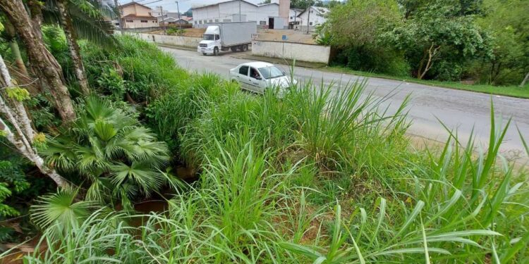 Prefeitura de Jaraguá do Sul prepara instalação de galeria na rua José Bauer