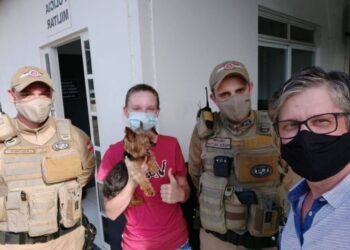 Homem furta cachorro e é preso em Guaramirim