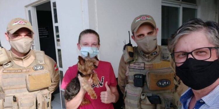 Homem furta cachorro e é preso em Guaramirim