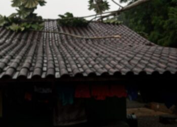 Defesa Civil de Jaraguá do Sul alerta sobre deslizamentos de terra