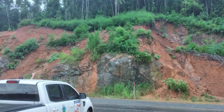 Defesa Civil de Guaramirim em alerta devido volume de chuva na região
