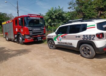 Pitbull invade casa e é resgatado em Guaramirim