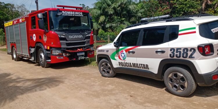 Pitbull invade casa e é resgatado em Guaramirim